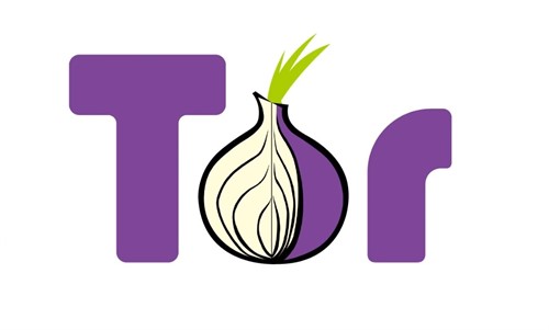 torrent and tor browser